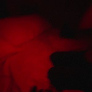 Meet your Posher, Lexi